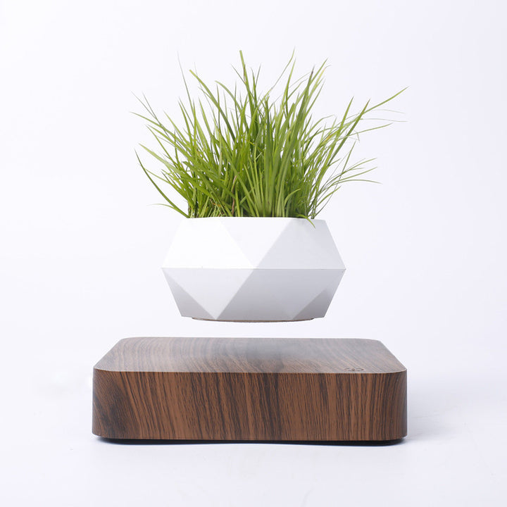 Magnetic Levitation Wood Grain Polygonal Plant Pot - ChunkCase